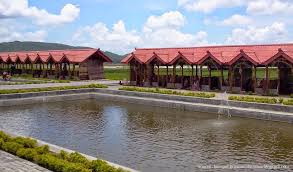 Kampung langit adalah wisata yang menyajikan rangkaian fragmen kehidupan dari masyarakat bali. Kampung Rawa Ambarawa Pesona Kuliner Apung Di Kawasan Gunung Heri Heryanto