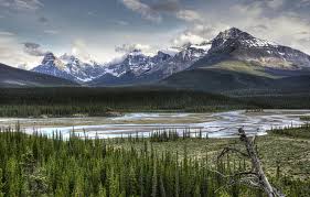 Looking for exclusive deals on saskatchewan river crossing hotels? Wallpaper Banff National Park Alberta River Trees Landscape Mountains Jasper National Park Canada Saskatchewan River Crossing Images For Desktop Section Pejzazhi Download