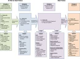 2013 Accf Aha Guideline For The Management Of Heart Failure