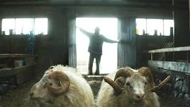 Rams