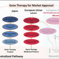 Every country has its own regulatory authority, which is responsible to enforce the rules and regulations and issue the guidelines to regulate drug development process,licensing, registration, manufacturing. The Regulatory Structure Of The Us Eu And Japanese Regulatory Bodies Download Scientific Diagram