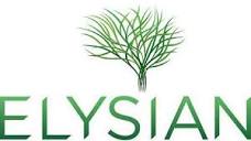 Elysian Clinic on LinkedIn: ELYSIAN® Clínica Médica & Neurologia