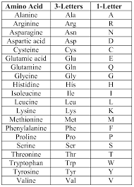 Images Of Amino Acid Abbreviations Spacehero