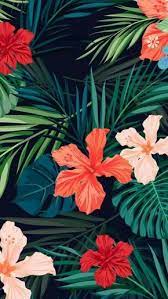 Floral Wallpaper Girly Wallpapers Pink And Red Flowers Green Palm Tree Leaves Flower Wallpaper Phone Wallpaper Images Cute Wallpapers