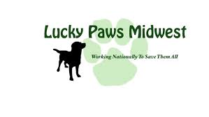 Maybe you would like to learn more about one of these? Pets For Adoption At Lucky Paws Midwest In Baldwin Wi Petfinder