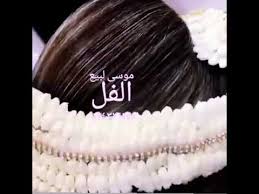 فل صبيا ضمد أبو عريش Youtube