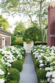 Modern Country Style Hydrangeas Topiary And Boxwood In The Modern Country Garden Click Through For Details Beautiful Gardens White Gardens Hydrangea Garden
