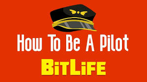 You'll want to start a relationship and become friends with a few females throughout your life. Bitlife How To Be A Pilot