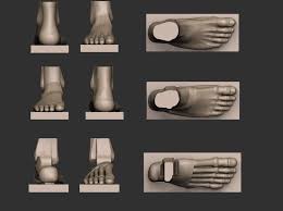 Foot Reference 3d Model Stl 4 Print Models Art Model Model