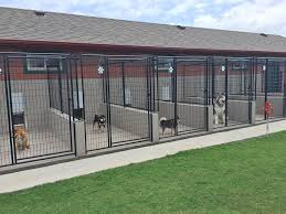 We did not find results for: Attaboy Boarding Kennels Facility In 2021 Dog Kennel Outdoor Dog Boarding Facility Dog Boarding Kennels
