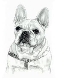 French Bulldog Drawing Print French Bulldog Portrait Dog Etsy French Bulldog Drawing French Bulldog Art Animal Drawings