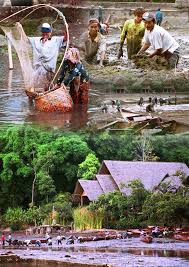 Ngadon maot di lembur batur. Ngabedahkeun Balong Kampung Sampireun Resort Spa Facebook
