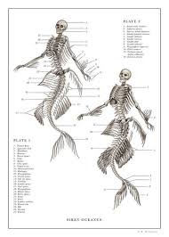 Buy wall art from vintage anatomy prints. Vintage Anatomy Drawings Fine Art America