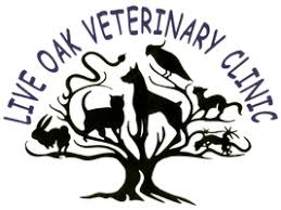 We understand how stressful it we highly recommend the following: Veterinarian In Moncks Corner Sc Live Oak Veterinary Clinic
