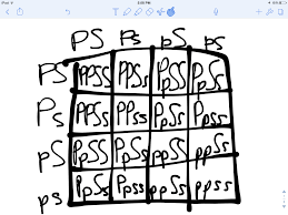 There are four possible phenotypes for the offspring of this cross, and. Chi Squares And Corn A Match Made For Science William0912