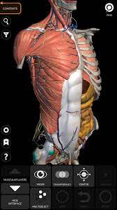Science and technology are increasingly developing, the understanding of the human body is increasingly weak. Anatomy 3d Atlas For Android Apk Download