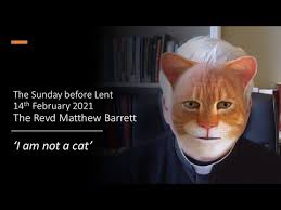 I got my assistant here trying to … many joked that the viral moment could end badly, alluding to milkshake duck, a meme that describes people who initially are perceived as good but. Zoom Cat Lawyer I M Not A Cat Video Gallery Know Your Meme