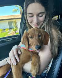 Norina Murphy, MSW, LCSW & Associates