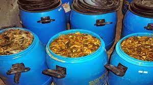 Belut adalah binatang yang memiliki bentuk tubuh mirip dengan ular, badanya licin dan biasa hidup dilumpur atau. Budidaya Belut Dalam Drum Agar Hasil Panen Melimpah Ayo Budidaya