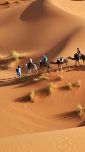 Purpletugboat Egypt Deserts Of The World Desert Life