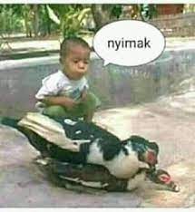 Kumpulan artikel foto jorok di palingseru.com yang memuat semua artikel seputar foto jorok yang dirangkum menjadi satu di palingseru.com. 8 Ide Meme Kata Gambar Jorok Meme Humor Lucu Lucu