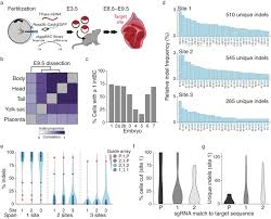 Molecular Recording Of Mammalian Embryogenesis Biorxiv