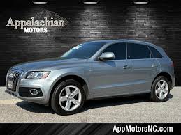 Image result for Ice Silver 2011 Q5