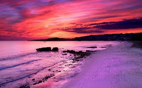 Ocean wallpaper summer wallpaper cute wallpaper backgrounds beach aesthetic travel aesthetic summer aesthetic aesthetic swing ride photography,sunset, carousel,pink and blue nursery decor,wildwood beach boardwalk,twilight,carnival photo,seaside amusement park. Pink Beach Wallpapers Top Free Pink Beach Backgrounds Wallpaperaccess