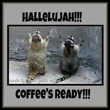 Hallelujah Coffee Sachets Coffee Obsession Coffee Humor