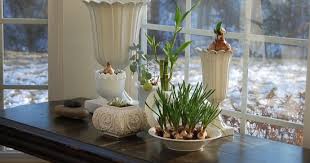 It does not matter since it happens in winter. Post Christmas Decorating Nesting Place