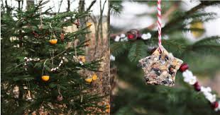More lights are tucked into evergreen boughs that cradle magnolia leaves. These Eco Friendly Outdoor Christmas Trees Are Good For Animals Too