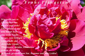 Feiertage sind der pfingstsonntag und der pfingstmontag. Frohe Pfingsten Blues Annelie Kelch Literatpro