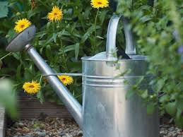 Maybe you would like to learn more about one of these? How To Make Compost Tea At Home Simple Recipe