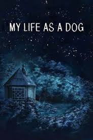 My Life as a Dog | Rotten Tomatoes