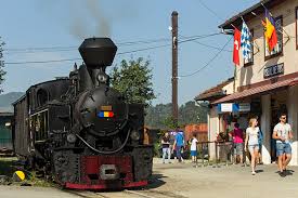 Detalii atm bcr astra libris viseu de sus str. Ro Morgens Im Waldbahndepot Von Viseu De Sus Ausland Bimmelbahn Forum