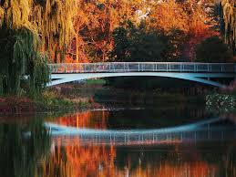 Autumn Reflections Chicago Botanic Garden Botanical Gardens Fall Travel