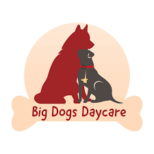Depending on what you have on hand and which flavors your dog prefers, you can whip up a range of creative concoctions. Dog Spa Denver Self Service Dog Wash Denver Grooming