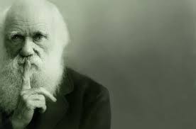 40 Inspirational Charles Darwin Quotes 2021 Wealthy Gorilla