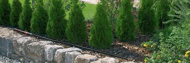 Check spelling or type a new query. Bien Choisir Son Systeme D Arrosage Goutte Gardena