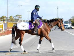 宅男腐女的爱好导航。 地址发布页： lanse.icu 最新地址： ldh. Tsqupcvaeow3um