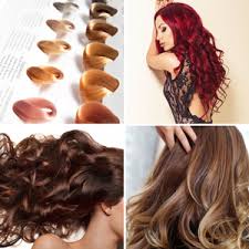 28 Albums Of Global Hair Colour With Highlights Meaning