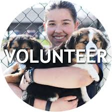 The kentucky humane society is the state's largest pet adoption agency and spay/neuter provider. Naperville Area Humane Society