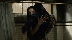 La Forme De L Eau The Shape Of Water Un Torrent D Amour Lavisqteam Fr