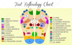 foot reflexology chart stock photo adrenalina 53368229