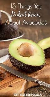 15 Surprising Facts About Avocados Don T Mess With Mama Avocado Health Benefits Food Facts Real Food Recipes