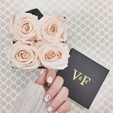 16 venus et fleur reviews. Venus Et Fleur Blush Roses Bouquet Preservation Blush Roses 30th Birthday Bash