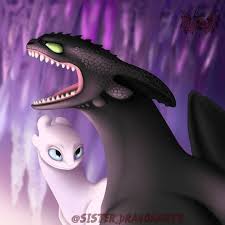 I Love Toothless And The Light Fury Together How Train Your Dragon How To Train Your Dragon How To Train Dragon