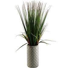 32 Onion Grass In Ceramic Planter Walmart Com Ceramic Planters Planters Planter Beds
