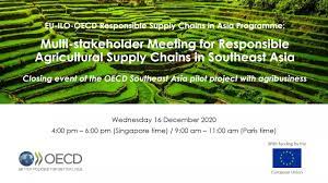 In 2019, the fruits industry contributed an estimated 4.7 percent to the agriculture sector in malaysia. Oecd Fao Guidance For Responsible Agricultural Supply Chains Oecd