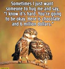 Its Gonna Be Okay Meme Shefalitayal